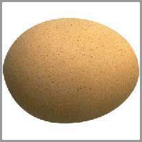 eit egg