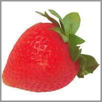 maasikas