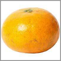 a tangerina