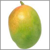 mangoen