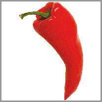 červená paprika