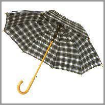le parapluie