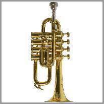 a trompete