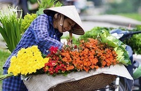 Places where Vietnamese is spoken