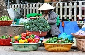 Places, Where Vietnamese is spoken