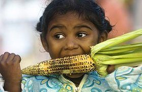 Places, Where Tamil is spoken