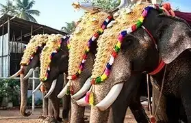 Places, Where Malayalam is spoken