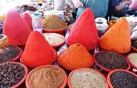 Places where Uzbek is spoken