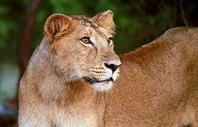 Places where Gujarati is spoken