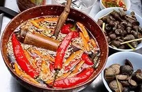 Places, Where Vietnamese is spoken