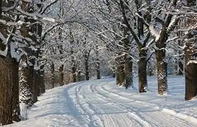 Places, Where Latvian is spoken