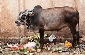 Places, Where Kannada is spoken