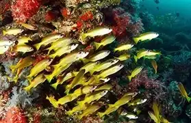 Places, Where Tagalog is spoken