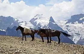 Places, Where Adyghe is spoken