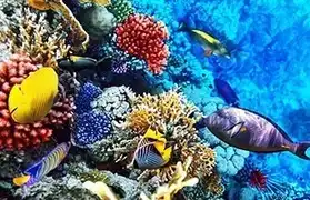 Places where Arabic is spoken