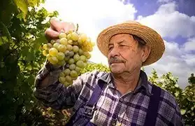 Places, Where French is spoken