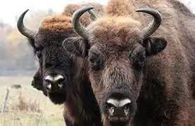 Places, Where Belarusian is spoken