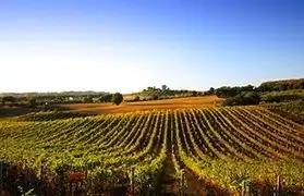 Places, Where Italian is spoken