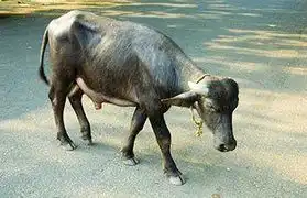 Places, Where Malayalam is spoken