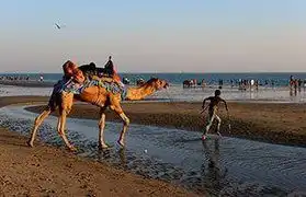 Places where Gujarati is spoken