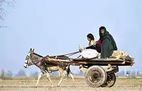 Places, Where Urdu is spoken