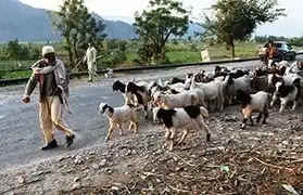 Places where Urdu is spoken