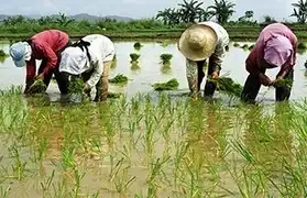 Places, Where Tagalog is spoken