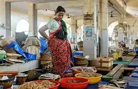 Places, Where Indonesian is spoken