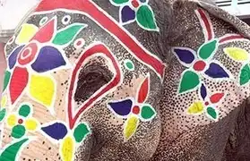 Places where Gujarati is spoken