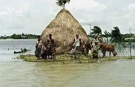 Places where Bengali is spoken