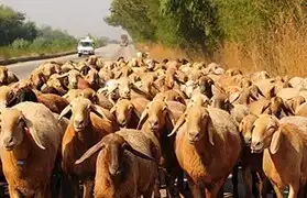 Places, Where Punjabi is spoken