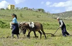 Places where Albanian is spoken