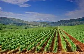 Places, Where Macedonian is spoken