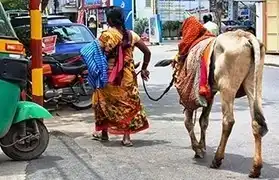 Places, Where Kannada is spoken