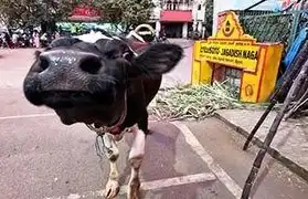 Places, Where Kannada is spoken