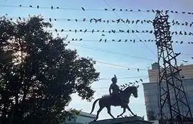 Places where Kannada is spoken