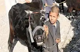 Places, Where Pashto is spoken