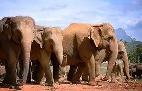 Places, Where Tamil is spoken