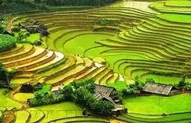 Places where Vietnamese is spoken