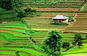 Places, Where Vietnamese is spoken