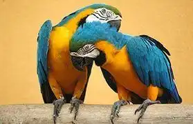 Places, Where Malay is spoken