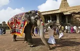 Places, Where Tamil is spoken