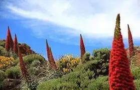 Places where Spanish is spoken