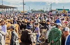 Places where Kyrgyz is spoken