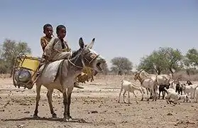 Places, Where Tigrinya is spoken