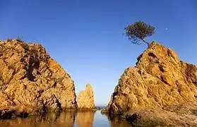 Places where Catalan is spoken