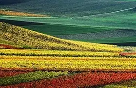 Places, Where German is spoken