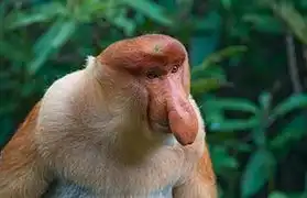 Places, Where Malay is spoken