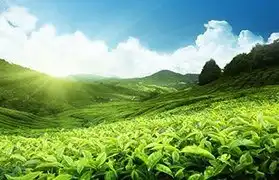 Places, Where Malay is spoken