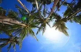 Places, Where Tagalog is spoken